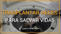 Trasplantar heces para salvar vidas | Sinfiltros.com