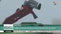Gobierno de Bolivia promueve la producción industrial de azúcar
