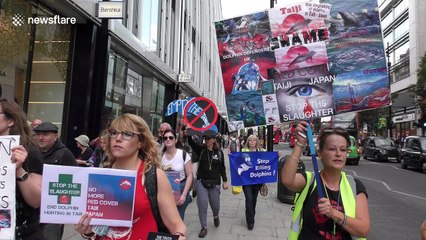 Activists protest outside Japanese Embassy in London ahead of annual dolphin slaughter
