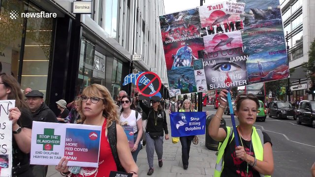Activists protest outside Japanese Embassy in London ahead of annual dolphin slaughter