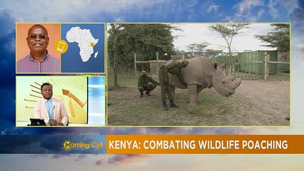 Death of 11 black rhinos: combating wildlife poaching in Kenya