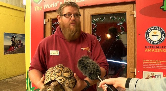 Meet Bertie, the World's Fastest Tortoise