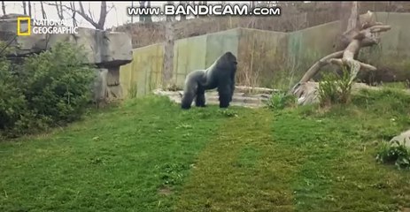 토토사이트제작비용,#토토창업,#사설토토솔루션정보토토사이트제작비용,#토토창업,#사설토토솔루션정보