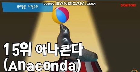 토토 솔루션 제작전문업체/ 토토제작 / 사설 토토 제작 / 스포츠 토토 ...카톡:soft2580 스카이프:soft2580