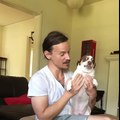 A Dog Does Not Like Being Kissed