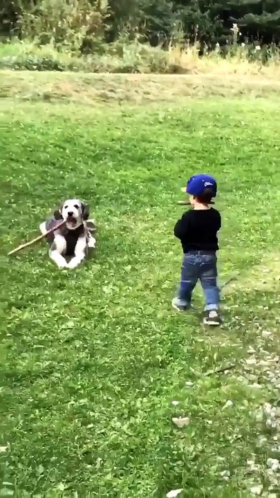 Quand ton fils n'a pas compris le principe du jeu "va chercher" avec le chien