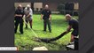 Gator Removed From Grounds Of Florida Middle School