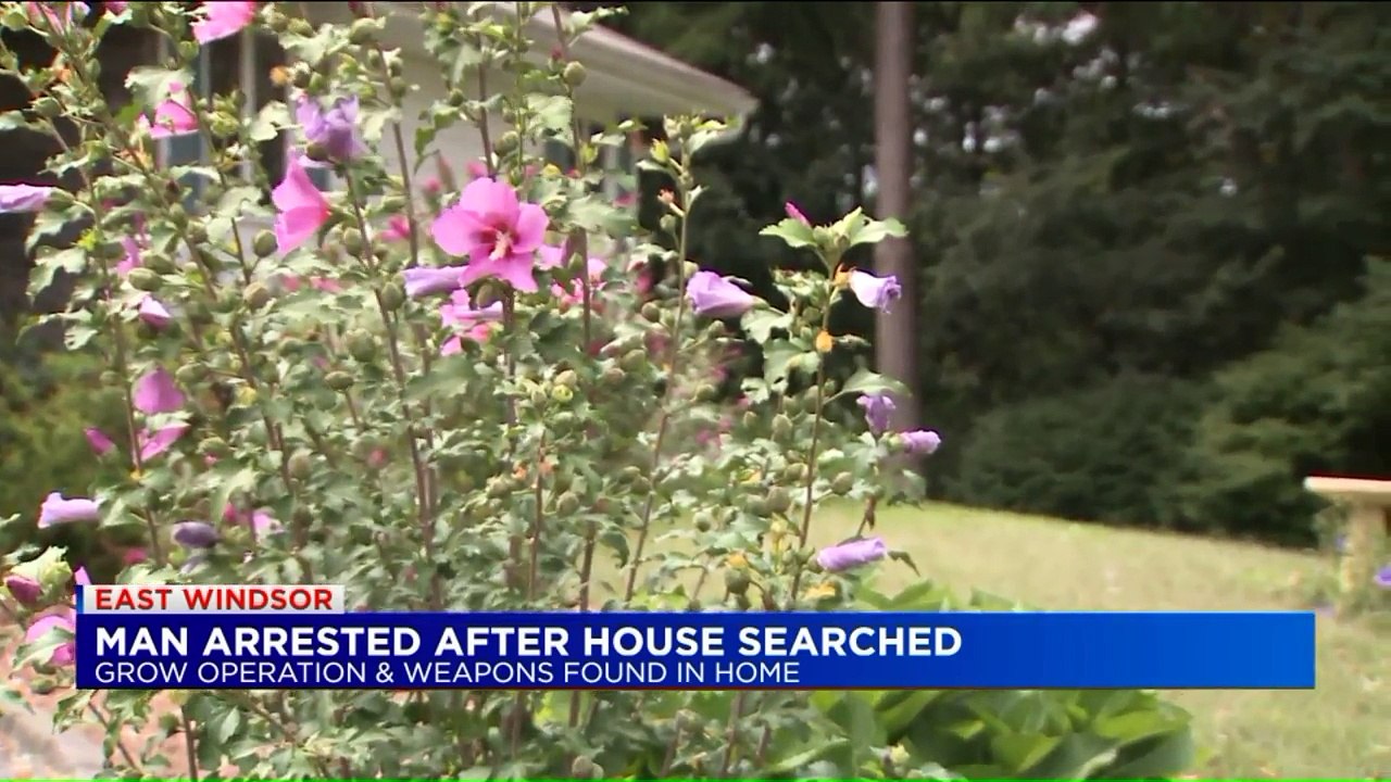 Man Arrested in Marijuana Bust; Explosives, Guns Found Near School