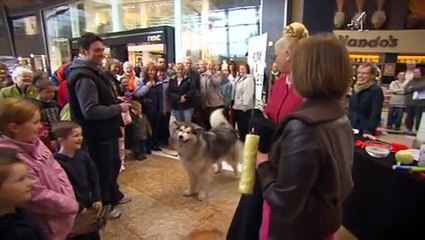 How Clean is Your House, S07E01 - Scott, Glasgow