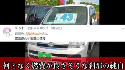 【探偵ナイトスクープ】未解決で終わったトラウマ確定回『紐・インコ』など
