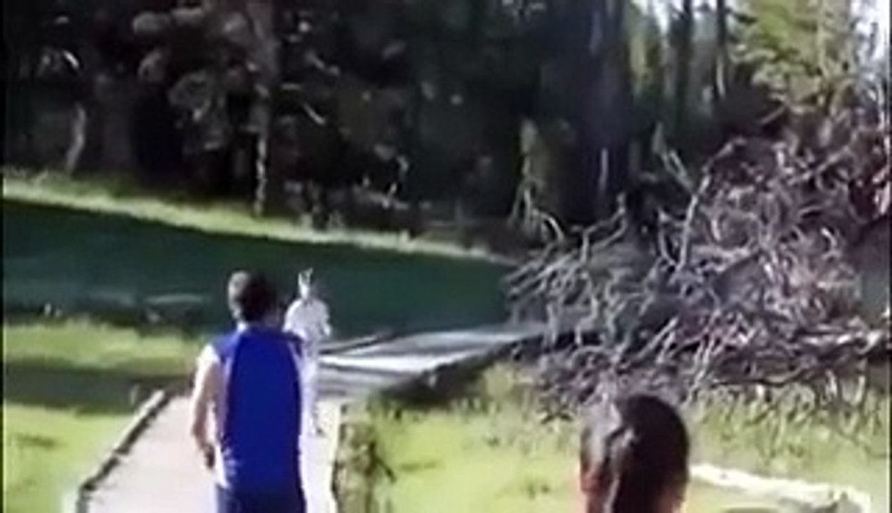 ELEPHANT KNOCKS THIS MAN TO THE GROUND