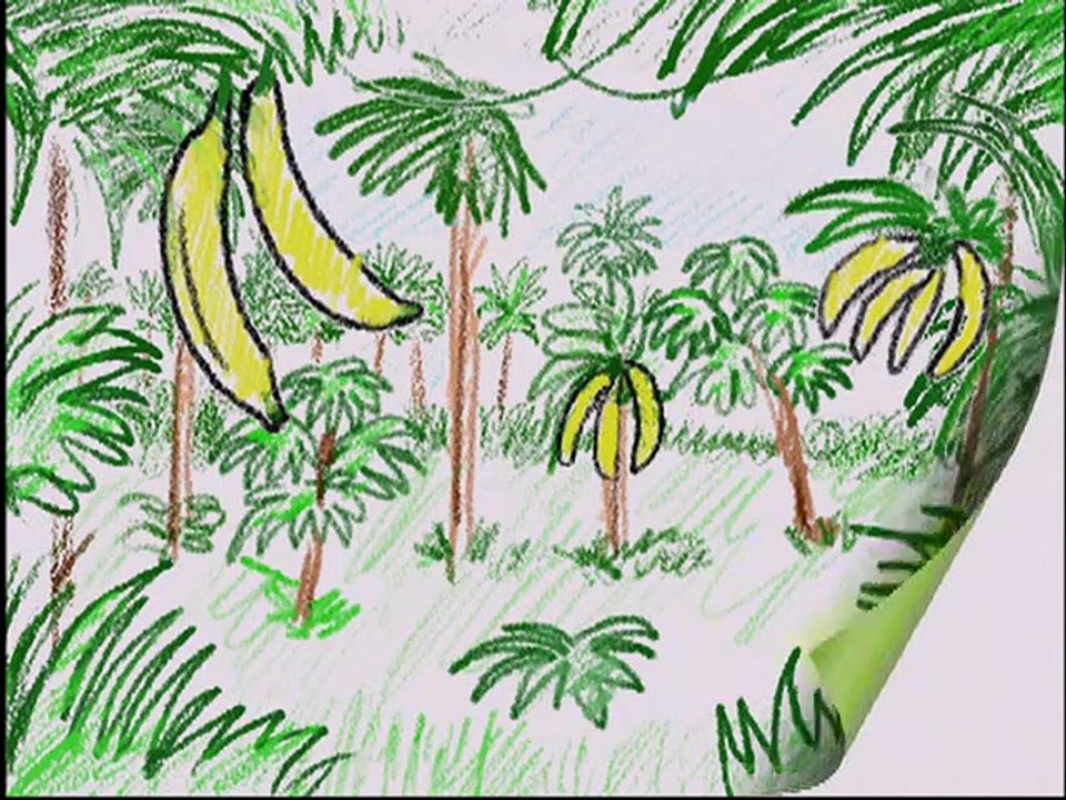 Baby Einstein Baby Dolittle World Animals Video Dailymotion