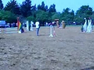 Vidéo Marion et Nash OP1