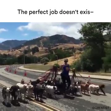 The perfect job doesn't exis-