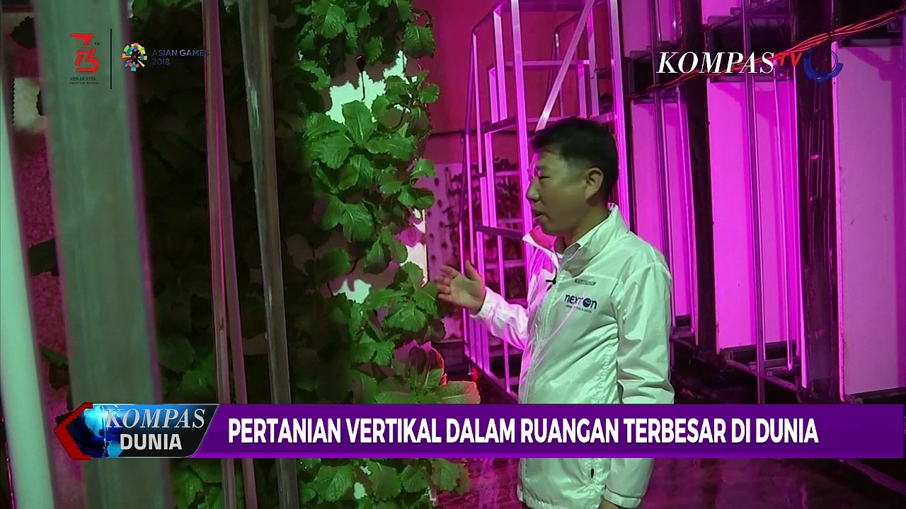 Pertanian Vertikal Dalam Ruangan Terbesar di Dunia