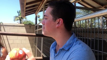 Fun Activities & Repost Apology 😊