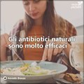 Scopri i 10 migliori antibiotici naturali