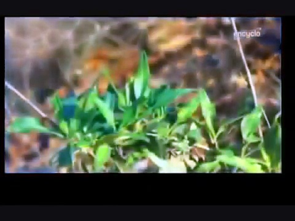 Documentaire 2016 - La fin du monde s'approche _ Documentaire science-L7a9PvHQ8Xw