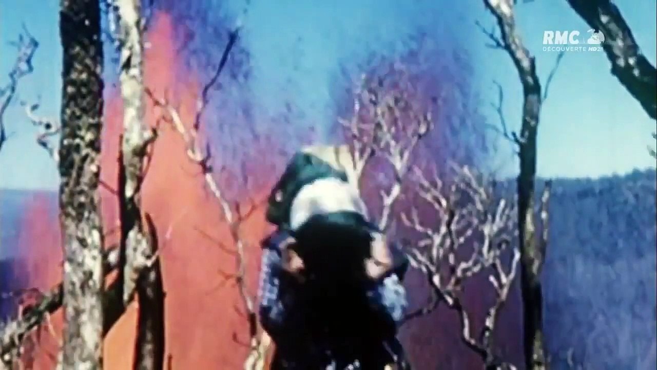 [Collecter Documentaire][EP3]Les prophéties de l’apocalypse de Nostradamus. DOCUMENTAIRE MYSTÈRE-_h78YpewDuY