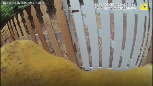 Police Officer Rescues Baby Deer Stuck In A Picket Fence
