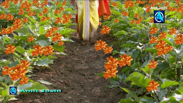 Krishna Janmashtami कृष्ण जन्माष्टमी 2018 Most Beautiful Flute Music Song Suryaputra Karna TV Serial