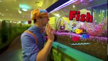 Blippi Learns at the Children's Museum - Learn to Count for Toddlers and more!