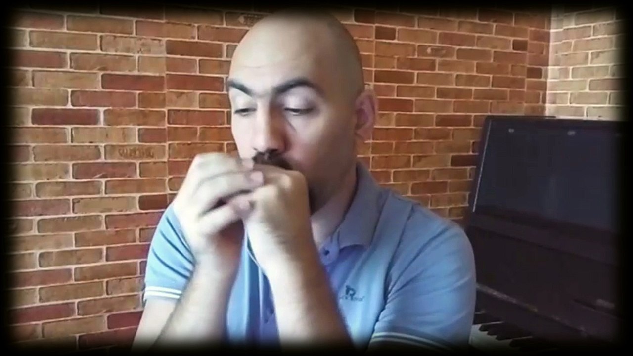 Bye Bye Bird - Sonny Boy Williamson Cover - Blues Harmonica