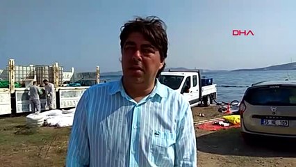 İzmir Ham Petrol Kirliliğinin Yaşandığı Foça Sahilinde Temizlik Çalışması Sürüyor