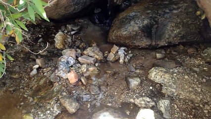 DEREDEN RESMEN ALTIN AKIYOR