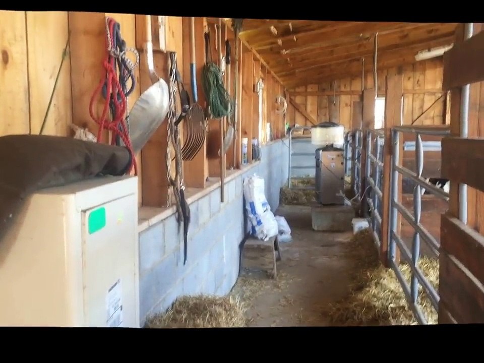 Calf planing and  Automatic Feeder