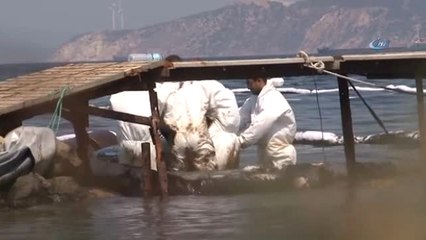 Başkan Demirağ'dan Petrol Kirliliğine İlişkin Açıklama