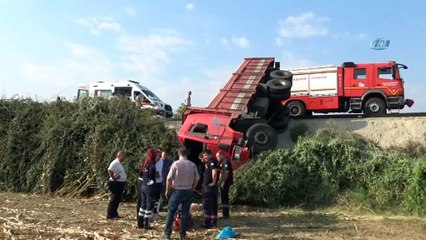 Araçlar tarlaya yuvarlandı, yem torbaları yola saçıldı: 4 yaralı