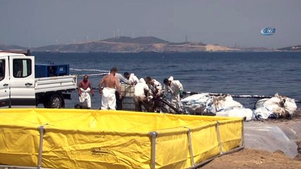 Başkan Kocaoğlu Foça’da incelemelerde bulundu