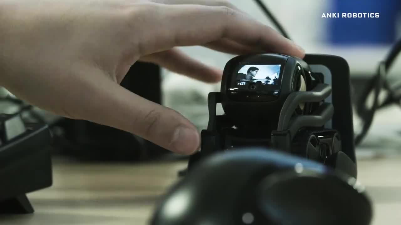 Meet Vector, The New Home Robot