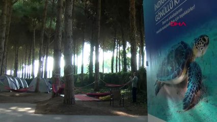 Antalya Caretta Yuvalarına Kum ve Traktör Tehdidi Hd