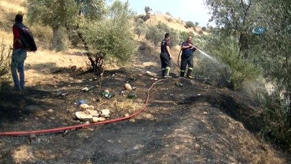 Tralleis Antik Kenti’ni yakıyorlardı...Yangında zeytin ağaçları zarar gördü