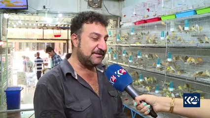 لە هەولێر نرخی مەیموون بە 400 دۆلارە و نرخی شێریش ئاشکرا ناکرێت