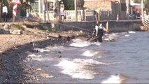 Foça'da Denizdeki Akaryakıtı Temizleme Çalışmaları Devam Ediyor