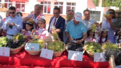 Aleyna Tilki üzüm festivalinde sahne aldı