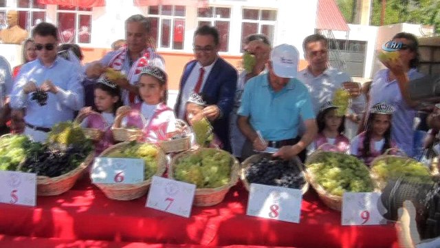 Aleyna Tilki üzüm festivalinde sahne aldı