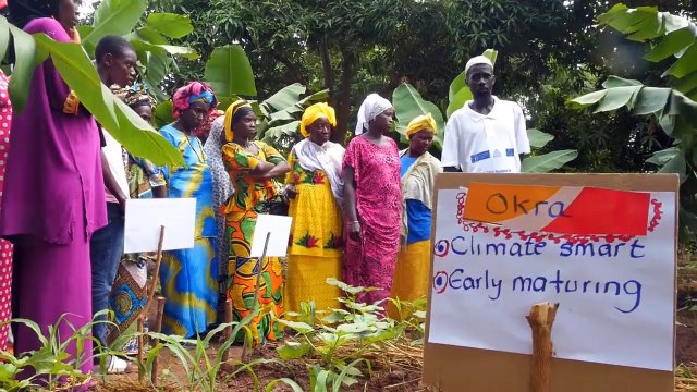 The twin shocks of drought and ebola in 2014 and 2015 not only forced many Gambians into food and nutrition insecurity but the shock was so severe that the abil