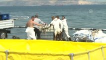 Foça'da Denize Sızan Akaryakıtın Yüzde 80'i Temizlendi - Aziz Kocaoğlu