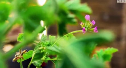 Top of the Shop with Tom Kerridge S01  E06   Part 03
