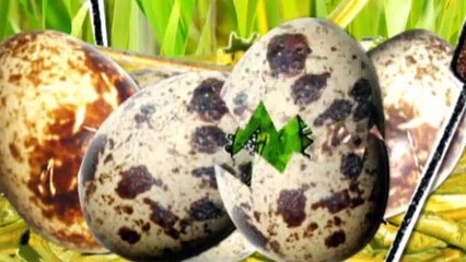 Charlie and Lola  S1E25 But I Am an Alligator