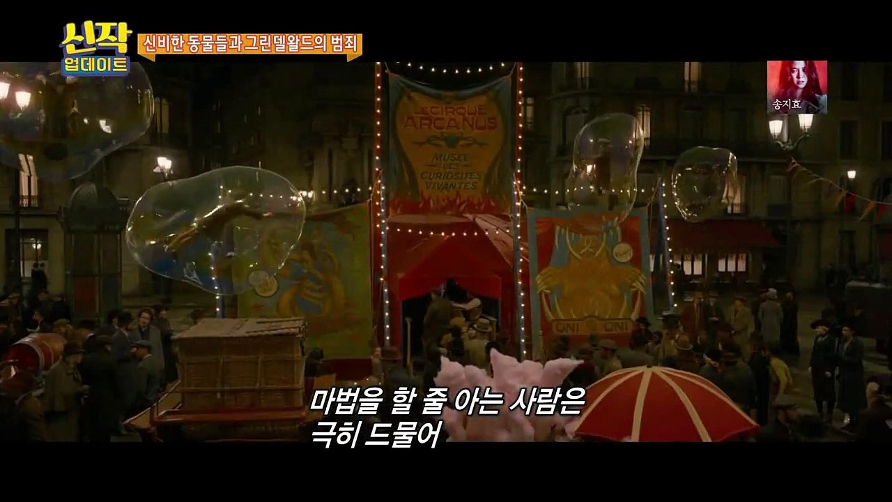 [영화] 신비한동물들과 그린델왈드의 범죄