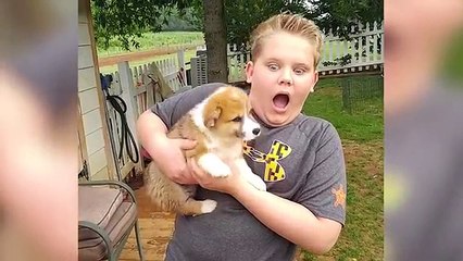 Cutest Corgi Compilation 2018 | Best Funny Corgi Videos Ever