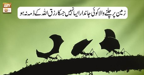 Paigham e Quran - 1st September 2018 - ARY Qtv