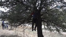 Aydın'da Ağaca Asılı Halde Erkek Cesedi Bulundu