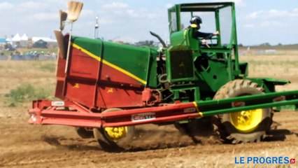 La fête de l'agriculture bat son plein