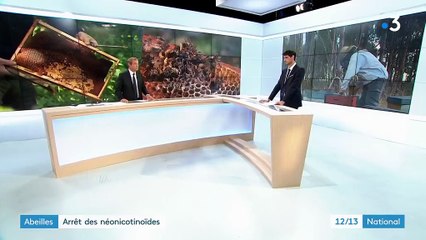 Abeilles : arrêt des néonicotinoïdes